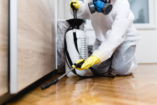Best Best Pest Control Companies  in Lakeside, MT