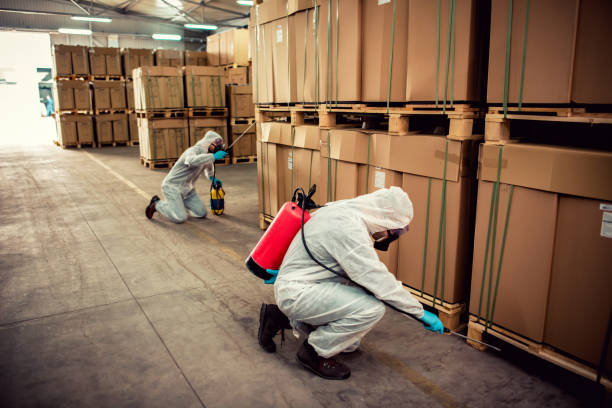 Best Commercial Pest Control Services  in Lakeside, MT