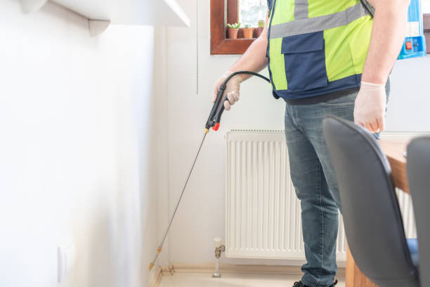 Best Affordable Pest Control Services  in Lakeside, MT
