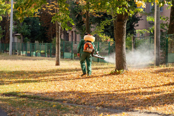 Best Wildlife Control Services  in Lakeside, MT