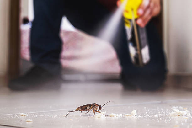Pest Prevention Services in Lakeside, MT