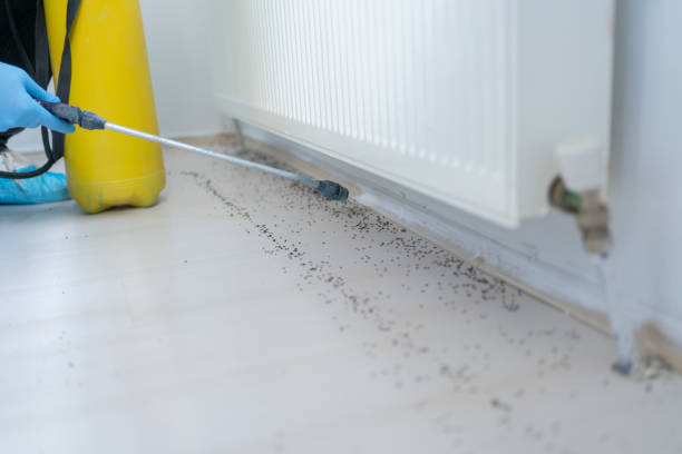 Best Bed Bug Extermination  in Lakeside, MT