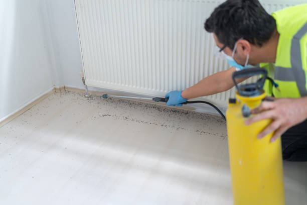 Best Commercial Pest Control Services  in Lakeside, MT