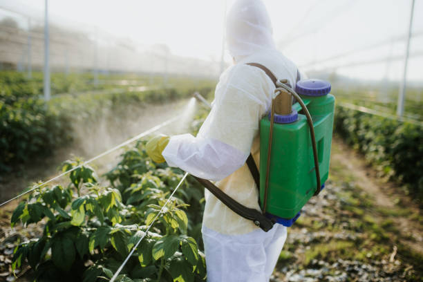 Trusted Lakeside, MT Pest Control Experts